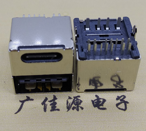 TYPE CĸUSB 2.0ĸ˫һ