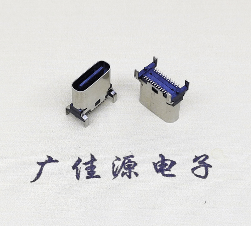 TYPE-C24Pĸ