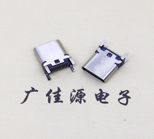 TYPE-C24Pĸ